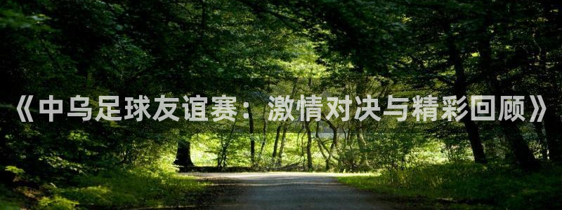 vSport体育app最新版本更新内容：《中乌足球友谊赛：激