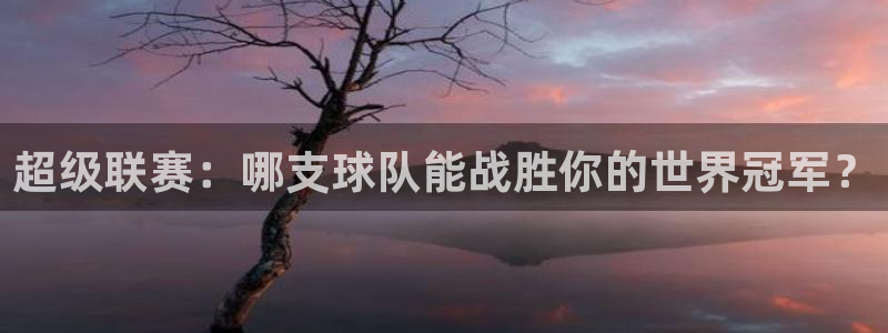 vsport体育阿根廷：超级联赛：哪支球队能战胜你的世界冠军