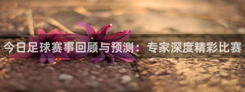Vsport体育官方网站入口：今日足球赛事回顾与预测：专家深