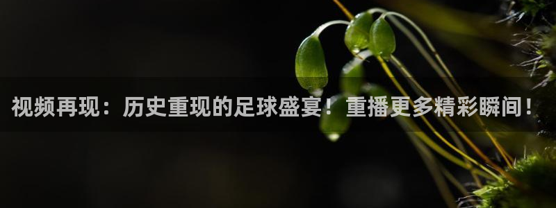 哈哈体育体育官网入口：视频再现：历史重现的足球盛宴！重播更多