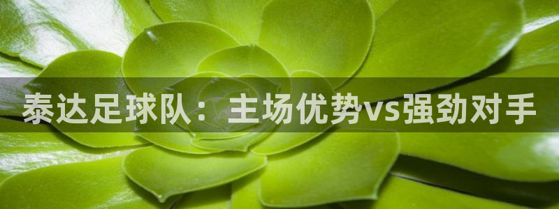  Vsport体育官方网站入口：泰达足球队：主场优势vs强劲对