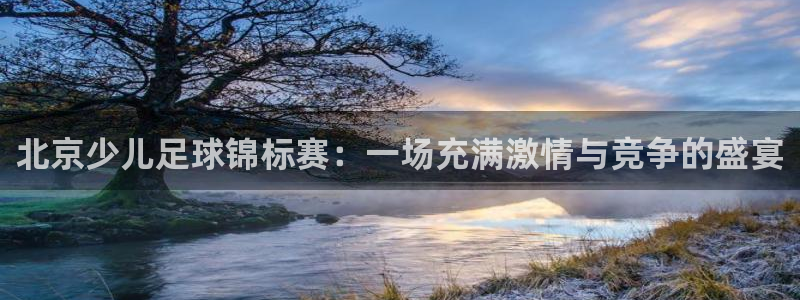 哈哈体育体育官网入口：北京少儿足球锦标赛：一场充满激情与竞争