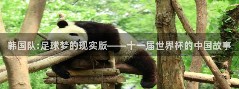  vsport体育阿根廷：韩国队:足球梦的现实版——十一届世界