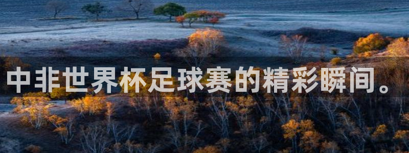  vsport体育在线官网：中非世界杯足球赛的精彩瞬间。