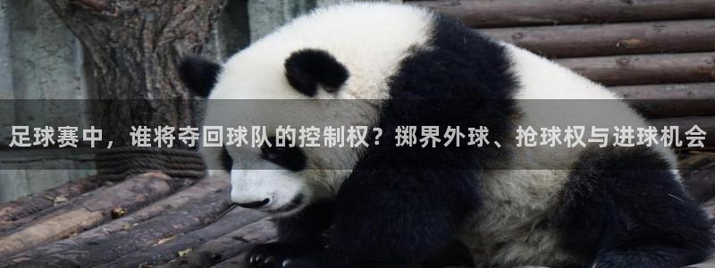  哈哈体育体育官网入口：足球赛中，谁将夺回球队的控制权？掷界外