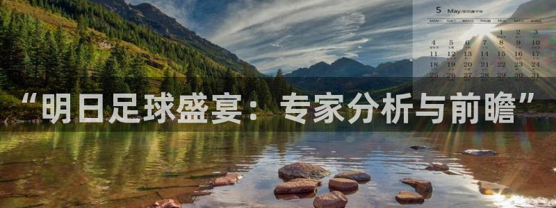 Vsport体育官网：“明日足球盛宴：专家分析与前瞻”